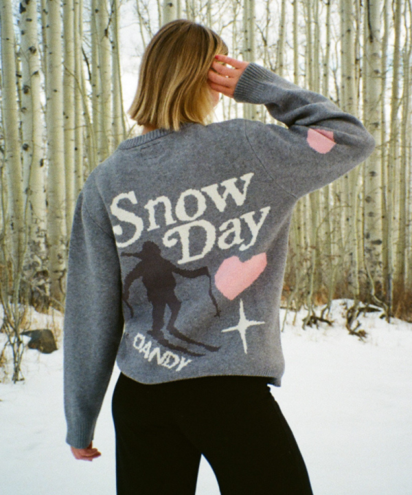 Women Gray Snow Day Sweater