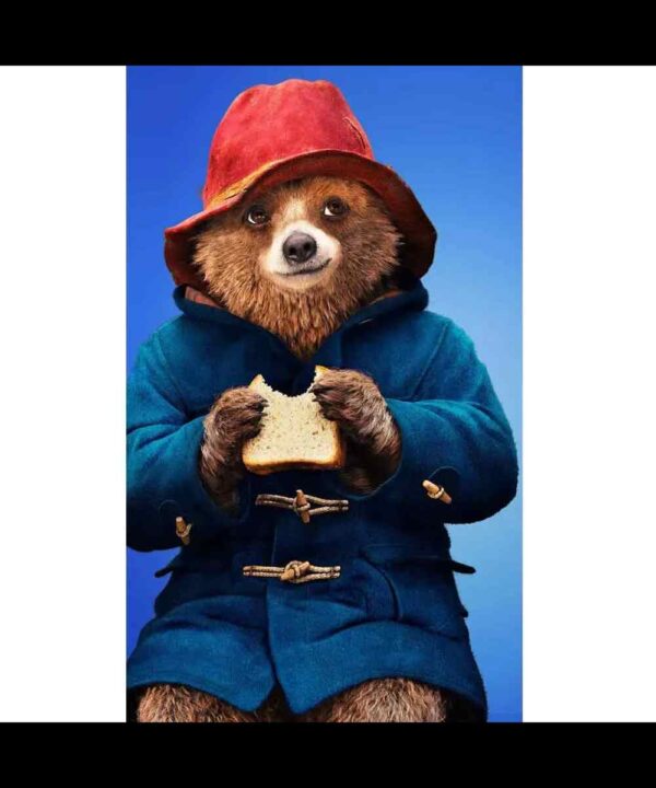 Paddington Bear Duffle Hooded Coat